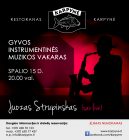 Gyvos instrumentinės muzikos vakaras